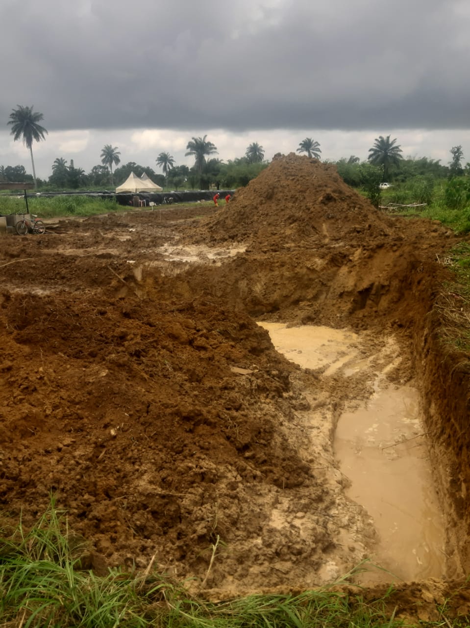 BERA REMEDIATION
